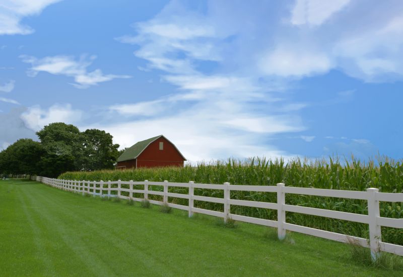 Best Fence Painting Contractors in Eden Prairie, MN