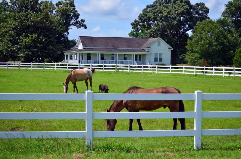 Livestock Fence Painting