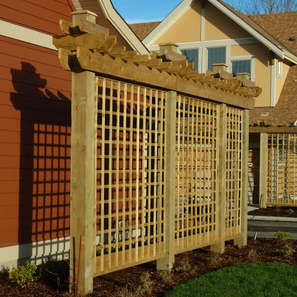 Trellis Staining